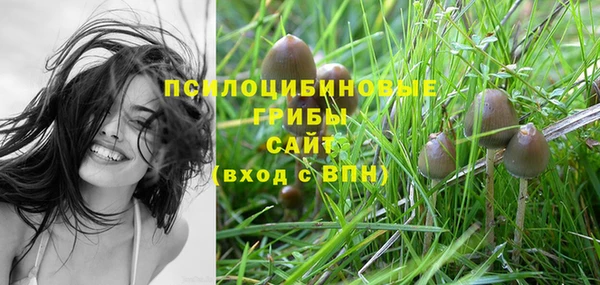 дурь Нефтегорск