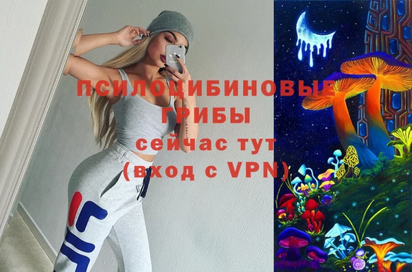 не бодяженный Алексин