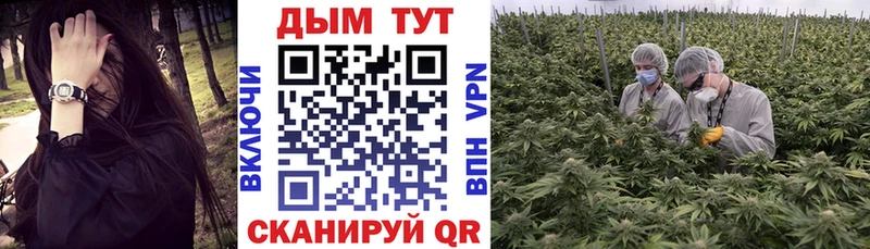 Шишки марихуана VHQ  Куса 